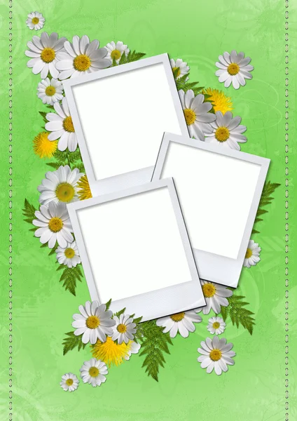 Daisy card — Stock Photo, Image