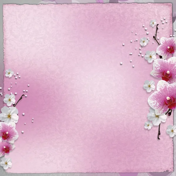 Card de epocă cu orhidee — Fotografie, imagine de stoc