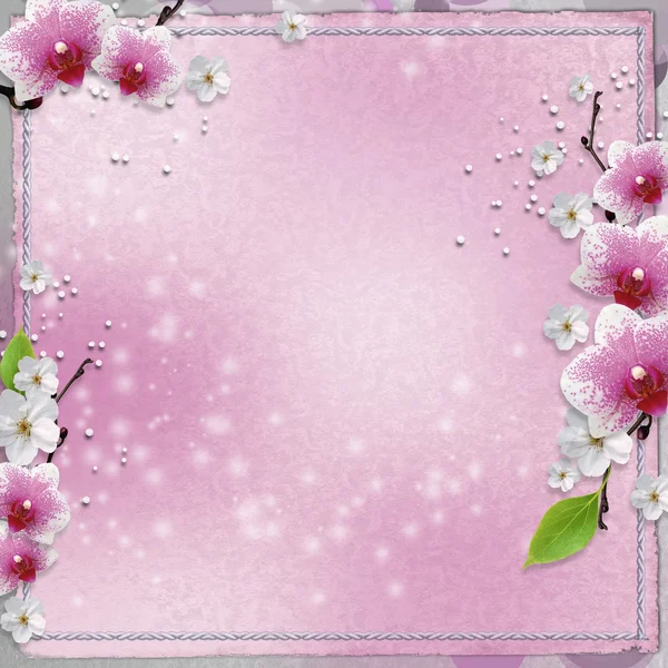 난초와 빈티지 카드 — 스톡 사진