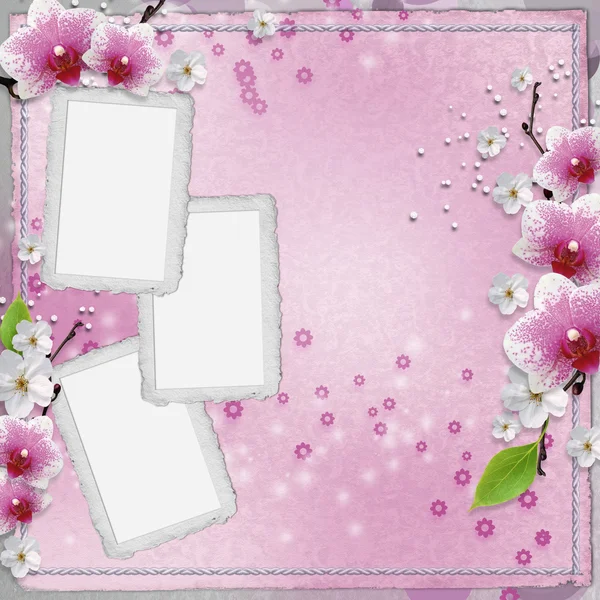 난초와 빈티지 카드 — 스톡 사진