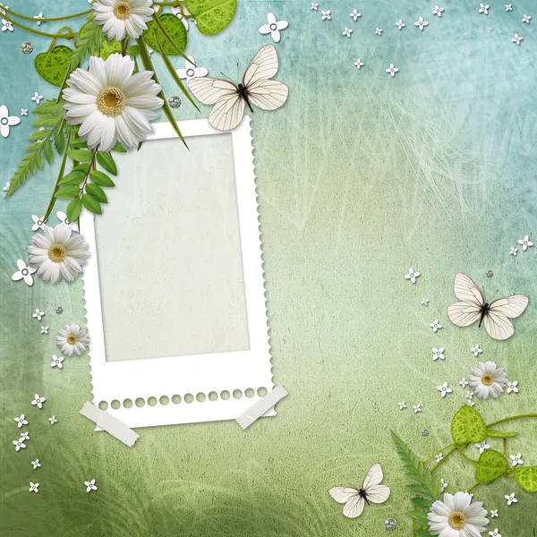 帧与美丽的雏菊 — 图库照片