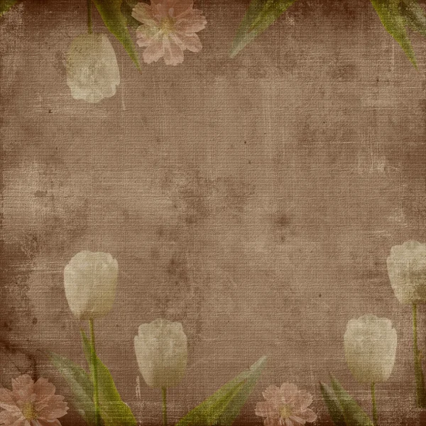 Copertina grunge marrone per un album con tulipani — Foto Stock