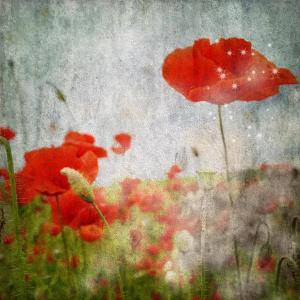 Grunge poppies background — Stock Photo, Image