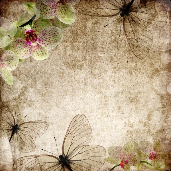 蘭の花と蝶とビンテージ背景 — ストック写真