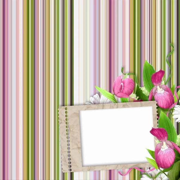 Papír képkeret, rózsaszín, zöld és fehér csíkos háttér — Stock Fotó
