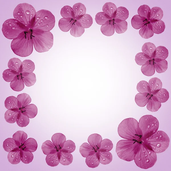 Pink flower frame with copy space — Stock Photo, Image