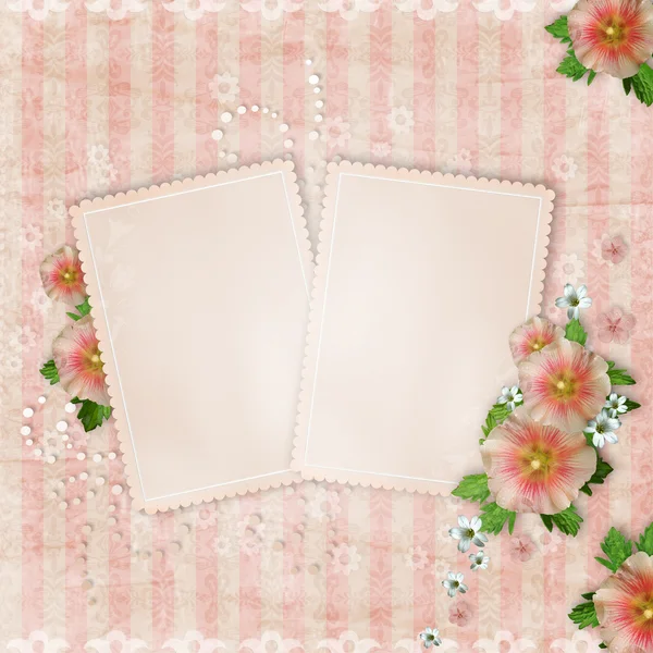 Vintage card and pink mallow — Stock Photo, Image