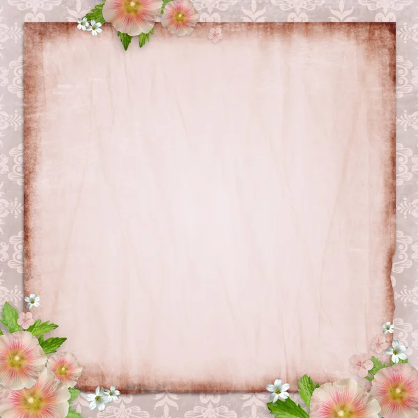 ビンテージのカードとピンク アオイ科の植物 — ストック写真