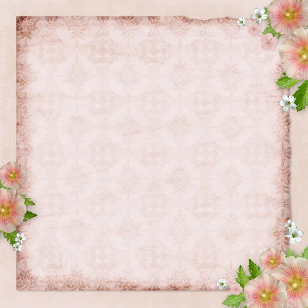 Вінтажна листівка і рожева мальва — стокове фото