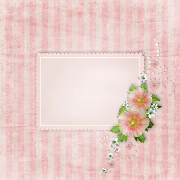 Вінтажна листівка і рожева мальва — стокове фото