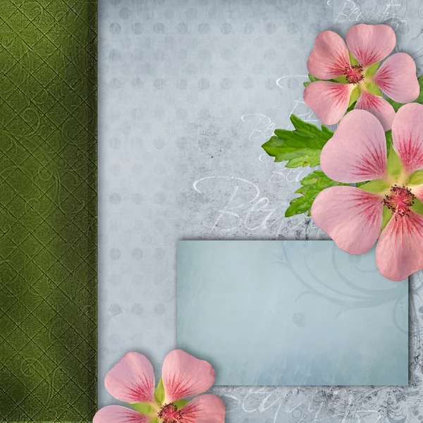Buket Pembe çiçek ile albüm kapağı — Stok fotoğraf