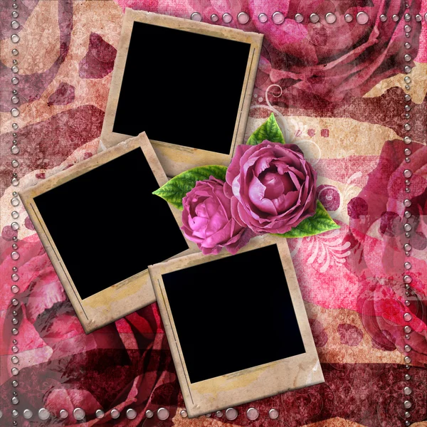 Fondo vintage romántico con marcos, rosa seca y gotas — Foto de Stock