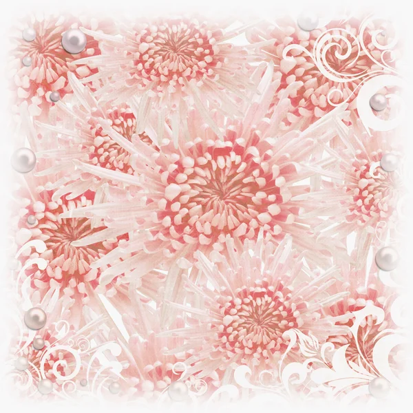 Гранжевий весільний фон з рожевою хризантемою — стокове фото