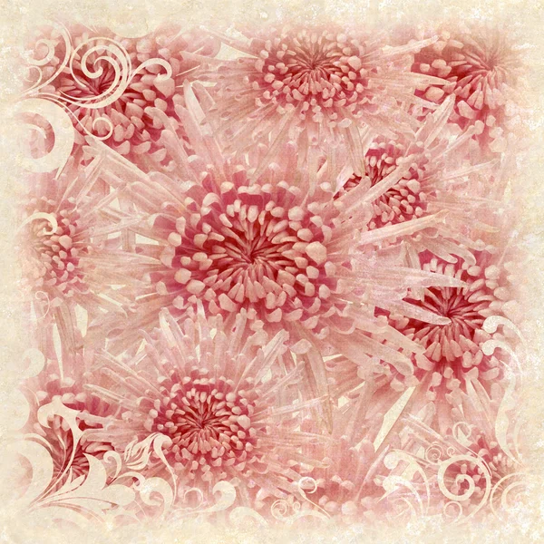 Гранжевий весільний фон з рожевою хризантемою — стокове фото