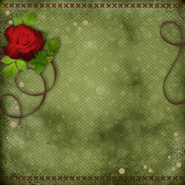 Schöner Hintergrund mit roter Rose — Stockfoto