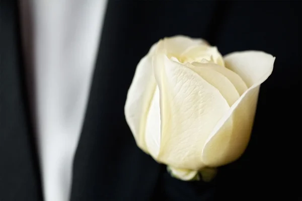 Rose on the suit of groom — Stock Photo, Image