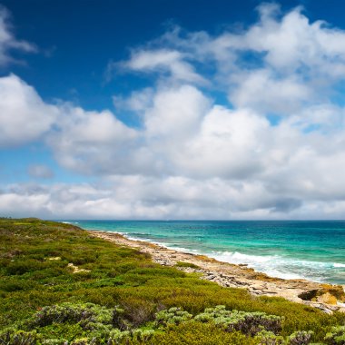 Eastern coast of the Isla Contoy, Mexico clipart