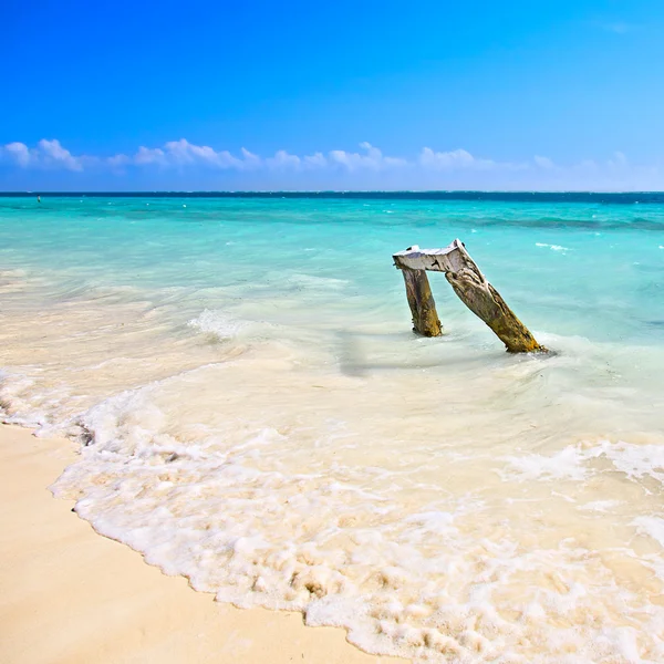 Beach at Caribbean sea — Stock Photo, Image