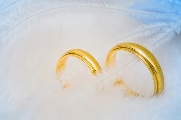 Golden wedding rings in feathers — Stock Photo, Image