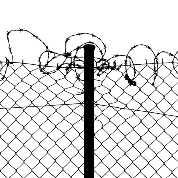 Vector of wired fence with barbed wires — Stock Vector