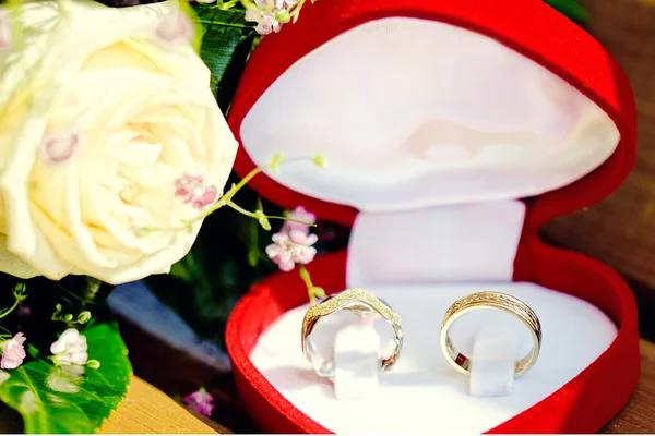 상자에 결혼 반지 — 스톡 사진
