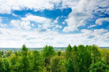 Forest in clouds clipart