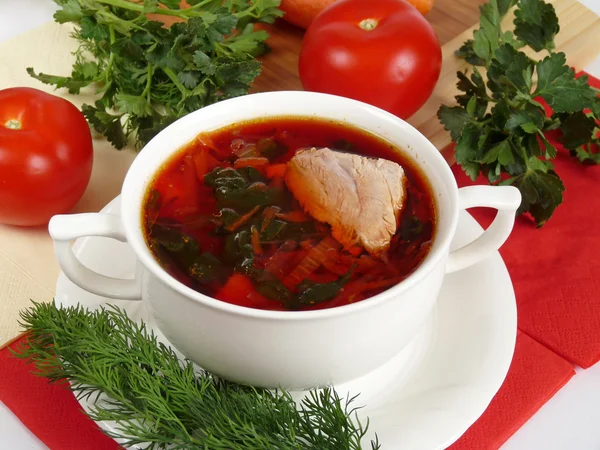 Una deliciosa sopa en caldo de carne — Foto de Stock