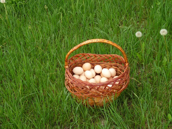 Jaja w wiklinowym koszu na zielonej trawie — Zdjęcie stockowe