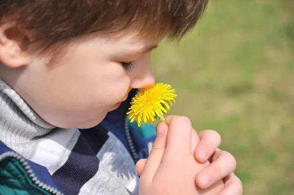 Chłopiec wącha dandelion — Zdjęcie stockowe