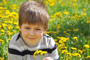 Çocuk dandelions içinde yer alır.