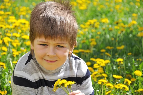 The boy lies in the dandelions — Stock Photo, Image