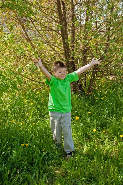 El chico en el parque en un día de verano — Foto de Stock