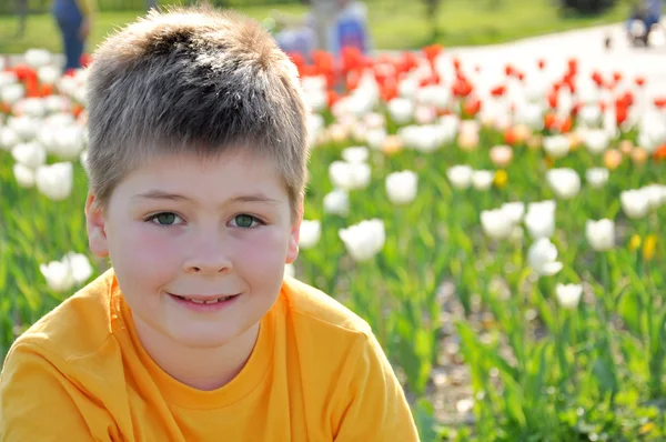 一个男孩在有阳光的日子上郁金香的背景上的肖像 — 图库照片