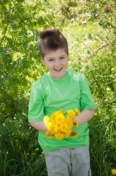 A boy with a bouquet of dandelions — Stock Photo, Image