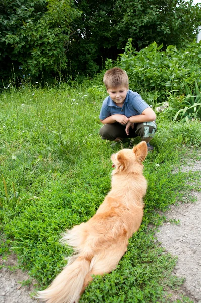 Ένα αγόρι και ένα κόκκινο σκυλί σε ένα λιβάδι — Φωτογραφία Αρχείου