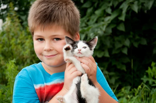 A boy and funny kitten in his arms — Stock Photo, Image