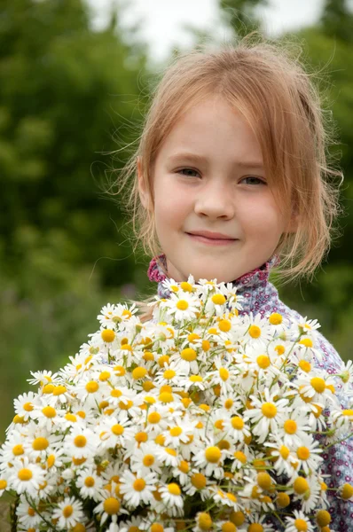 Girl with a bouquet of daisies field — Stock Photo, Image