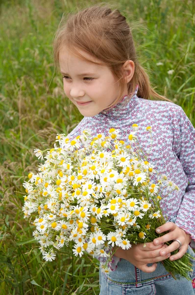 Girl with a bouquet of daisies field — Stock Photo, Image