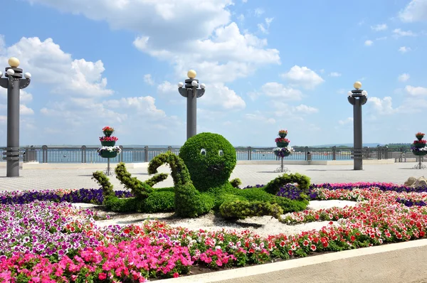 Octopus, floral arrangement on the seafront of Anapa — Stock Photo, Image