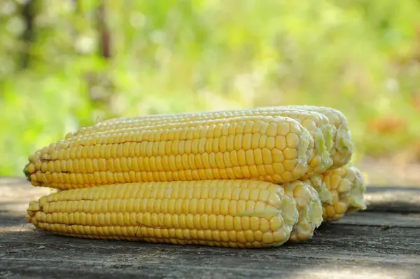Färsk majs på bordet — Stockfoto