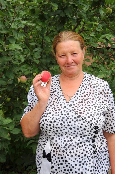 Пенсионер в саду с красным яблоком в руке — стоковое фото