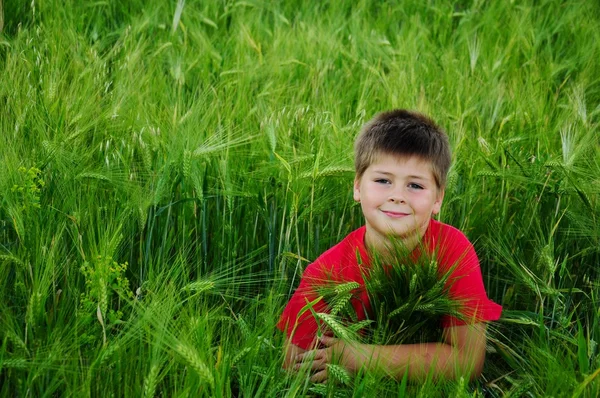 Niño en un campo de trigo — Foto de Stock