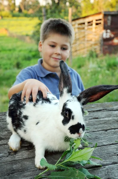 Un garçon avec un lapin dans le jardin — Photo