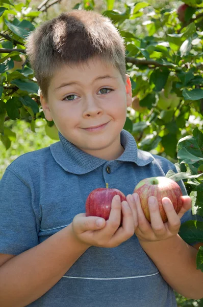 En pojke med en läckra röda äpplen — Stockfoto