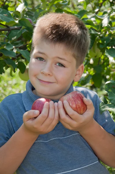 Un chico con unas deliciosas manzanas rojas —  Fotos de Stock