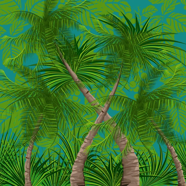 Forêt tropicale — Image vectorielle