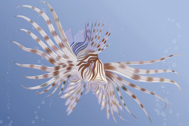 Lion fish clipart