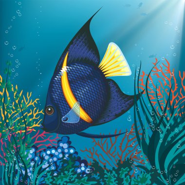 Tropical fish clipart