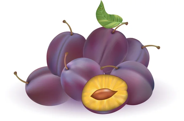 Sweet plums — Stock Vector