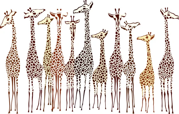 Girafes — Image vectorielle